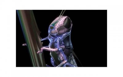 ​七夕节的诗歌