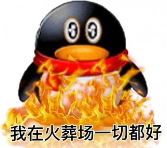 ​QQ企鹅表情包