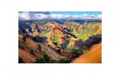 ​新娘手捧鲜花的寓意