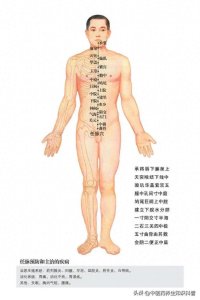 ​中医养生干货，超全人体14经络歌诀穴位图，值得收藏！