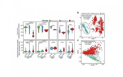 ​拉黑了偷偷看对方状态，教你不动声色检查好友状态