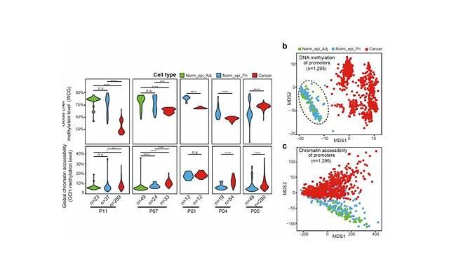 拉黑了偷偷看对方状态，教你不动声色检查好友状态