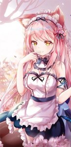 ​兽耳娘特辑②