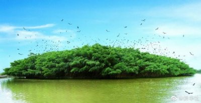 ​巴金笔下的小鸟天堂有多美！隔壁高铁为它多花上亿元打造“隔音神器”