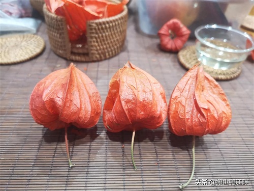 东北往事，苦姑娘你喝过吗