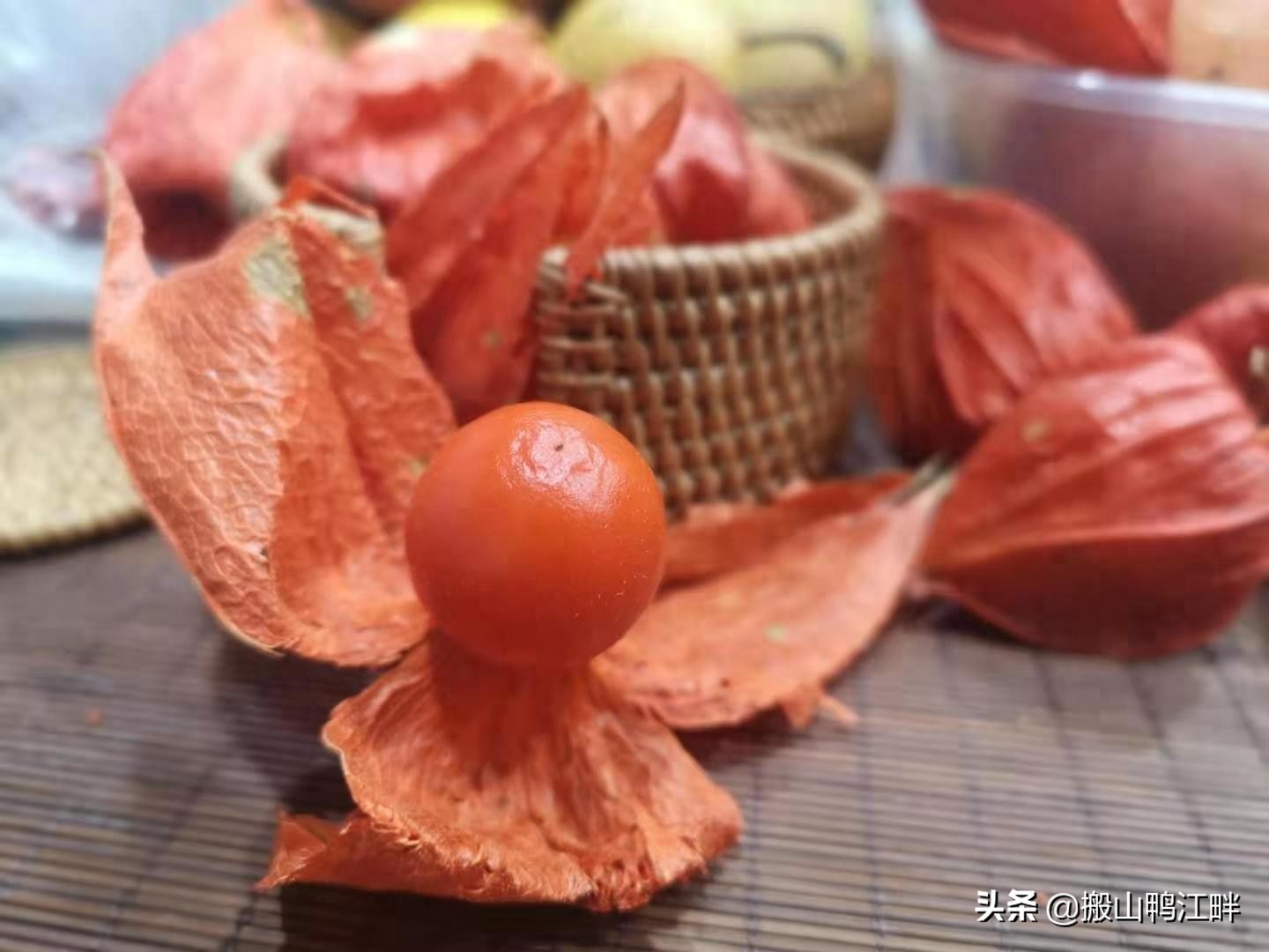 东北往事，苦姑娘你喝过吗