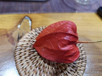 ​东北往事，苦姑娘你喝过吗