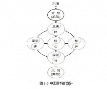 ​人体生命太极阴阳五行图！