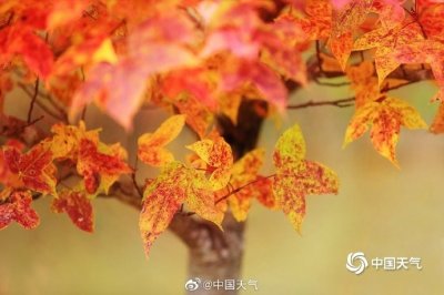 ​一组图尽赏祖国大美风光