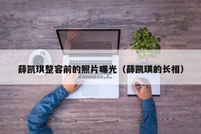 ​薛凯琪整容前的照片曝光（薛凯琪的长相）