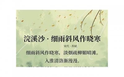 ​优美的古诗（带你领略古诗中的四季之美）