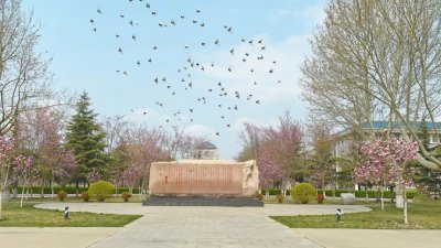 ​高考填志愿，保定学院从师专到本科，近三年分数线