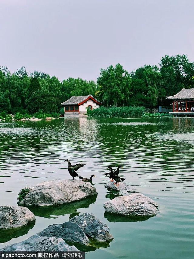 中式最美四合院（当江南风韵遇见北京传统四合院）(9)