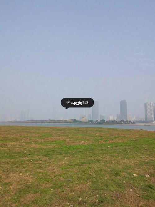 第三天:中午到湘江风光带散散步
