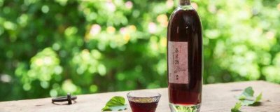 ​桑树果泡酒方法