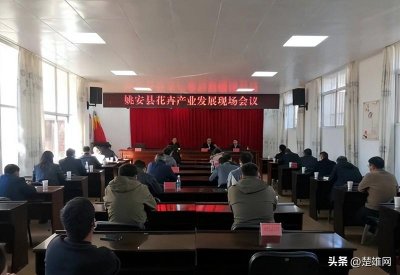 ​楚雄州姚安县花卉产业发展现场会议召开