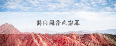 ​抖内是什么意思