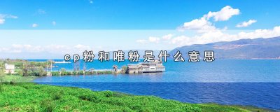 ​cp粉和唯粉是什么意思