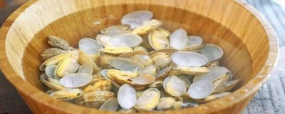 ​花蛤是干垃圾还是湿垃圾