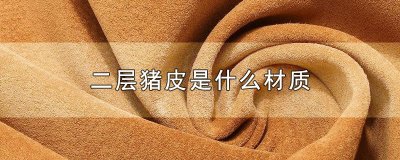 ​二层猪皮是什么材质