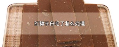 ​红糖长白毛了怎么处理